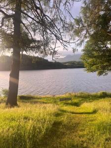 a park bench sitting in the grass next to a lake at Portsonachan Hotel & Lodges in Dalmally