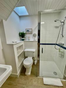 a bathroom with a toilet and a shower and a sink at Achnacriche B&B in Bonnavoulin