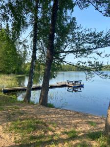 a picnic table next to a lake with a dock at Arkādija Krosts in Gaiduļi