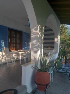 patio con pianta in vaso accanto a un tavolo di House SOFIA a Stavros