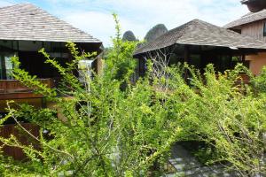 two buildings with trees in front of them at Avatar Railay in Railay Beach