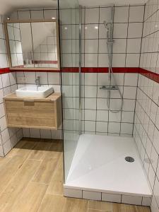 a bathroom with a shower and a sink at Chouette appartement 5 personnes in De Haan