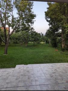 Blick auf einen Park mit Bäumen und einem Feld in der Unterkunft Apartment Filipovic in Podgorica