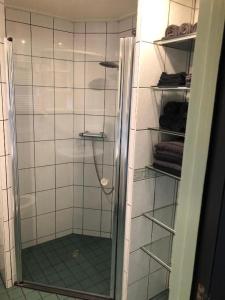 a shower with a glass door in a bathroom at De Genten 2 in Ermelo