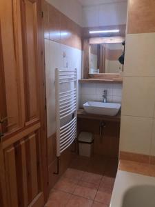 a small bathroom with a sink and a toilet at Pension Sima in Harrachov +37 photos