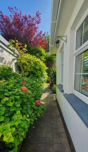 Fotografie z fotogalerie ubytování 124 ,Castlelawn Heights, Headford road Galway Homestay v destinaci Galway