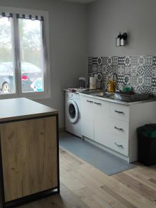een keuken met een wastafel en een wasmachine bij Gîte de La Gasserotte in Nohant-Vic