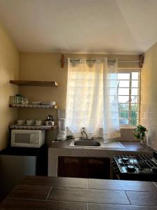 uma cozinha com um lavatório e uma janela em Departamento completo, cómodo y cerca del aeropuerto em San Agustin de las Juntas