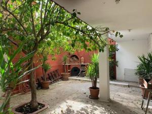 a courtyard with a bunch of potted plants in a building at Charming Apartment in Shmeisani in Amman