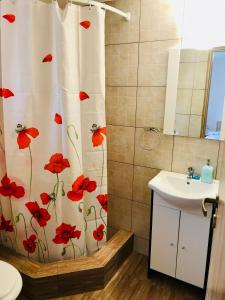 a bathroom with a shower curtain with red flowers on it at Casa Victoria in Cârțișoara