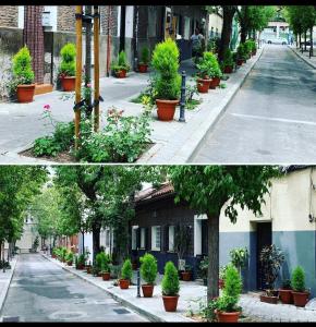 duas fotos de uma rua com vasos de plantas em La Chambre de Boris em Madri