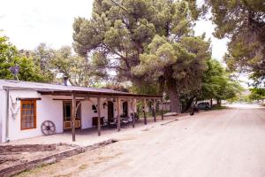 une maison sur un chemin de terre à côté d'un arbre dans l'établissement Compass View, à Nieu-Bethesda