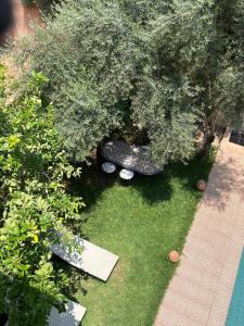 a skateboard laying on the grass in a garden at villa saada in Marrakech