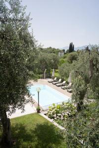 a swimming pool in a yard with lounge chairs at Appartamenti Ceccherini in Malcesine