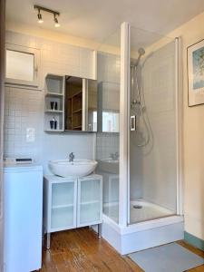 baño blanco con ducha y lavamanos en Apartment with mountain views in town centre, en La Roche-sur-Foron
