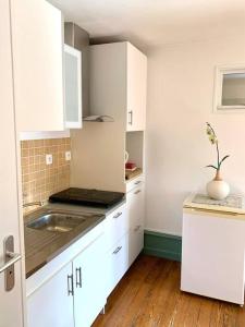 una cocina con armarios blancos y fregadero en Apartment with mountain views in town centre, en La Roche-sur-Foron