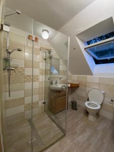 Bilik mandi di Apartmán U Jezírka