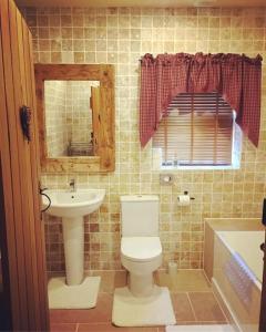 ein Badezimmer mit einem WC, einem Waschbecken und einem Spiegel in der Unterkunft Bumbleberry Cottage in Gresford