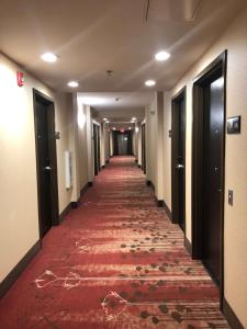 奥古斯塔Hampton Inn Augusta Fort Eisenhower的相册照片