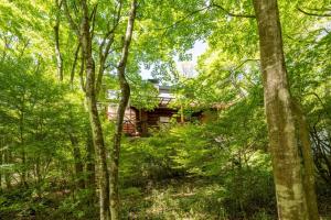 una cabaña de madera en el bosque con árboles en Log house Grazzi - Vacation STAY 70263v, en Nasu-yumoto