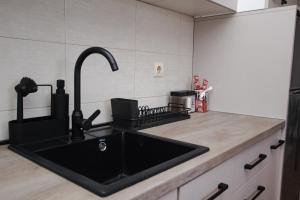 Apartman 21的厨房或小厨房