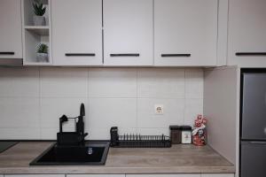 Apartman 21的厨房或小厨房