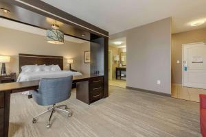 Habitación de hotel con 1 cama, escritorio y 1 dormitorio en Hampton Inn Alamosa en Alamosa