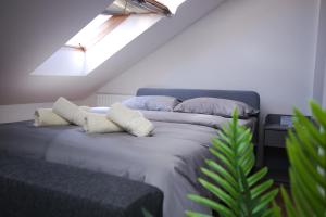 克拉列沃Apartman 21的一间卧室，配有一张床、枕头和一扇窗户