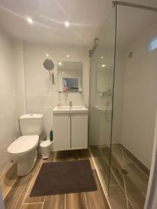 een badkamer met een toilet, een wastafel en een douche bij Appart' Cosy Beaucairois in Beaucaire