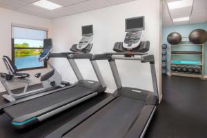 a gym with two treadmills and a treadmill at Hampton Inn Bonita Springs Naples North in Bonita Springs