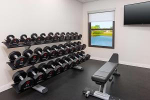 a fitness room with a lot of equipment and a television at Hampton Inn Bonita Springs Naples North in Bonita Springs