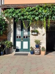 una puerta verde en una casa con macetas en Haus Frey en Altaussee