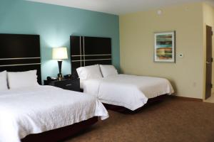 Postel nebo postele na pokoji v ubytování Hampton Inn Austin Oak Hill