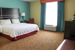 Postel nebo postele na pokoji v ubytování Hampton Inn Austin Oak Hill
