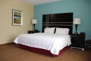 Postel nebo postele na pokoji v ubytování Hampton Inn Austin Oak Hill