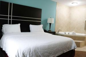 Postel nebo postele na pokoji v ubytování Hampton Inn Austin Oak Hill