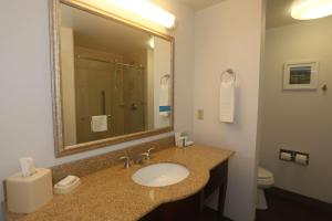 Koupelna v ubytování Hampton Inn Owego