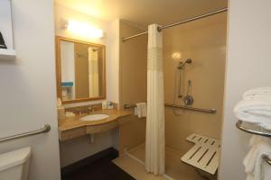 Koupelna v ubytování Hampton Inn Owego