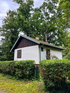 ein weißes Haus mit einem schwarzen Dach hinter einigen Büschen in der Unterkunft Varljivo leto, Fruska gora in Čortanovci