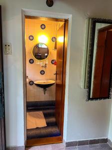 ein Badezimmer mit Waschbecken und Spiegel in der Unterkunft Varljivo leto, Fruska gora in Čortanovci