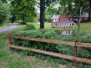 a fence with a sign that reads blueberry hill at Blueberry Hill in Skånes Fagerhult
