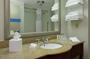 Hampton Inn Jasper, AL的一间浴室