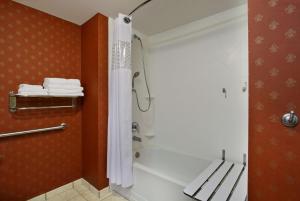 Hampton Inn Jasper, AL的一间浴室
