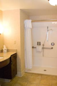 a bathroom with a shower curtain and a sink at Homewood Suites Bakersfield in Bakersfield