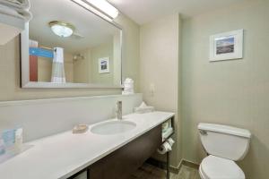Koupelna v ubytování Hampton Inn Batavia