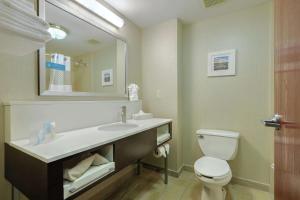 Koupelna v ubytování Hampton Inn Batavia