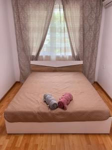 un letto con due peluche sopra davanti a una finestra di Céntrico ~ Modern 1BD Flat in Varna a Varna