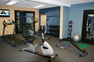 a gym with several exercise equipment in a room at Hampton Inn Brevard in Pisgah Forest
