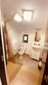 a bathroom with a toilet and a sink at Casa dintre Brazi in Statjunea Borsa