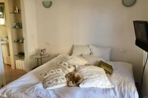 a dog laying on a white bed with pillows at Experience beautiful duplex penthouse with terrace in Palma in Palma de Mallorca